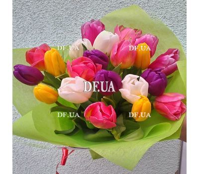 21 tulip - view 6