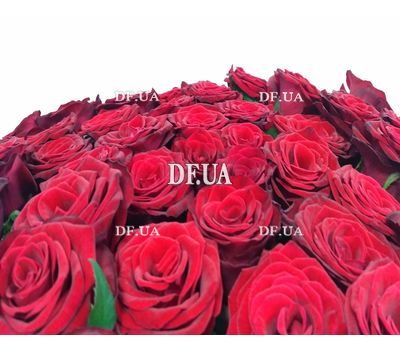 27 red roses - wiev 1
