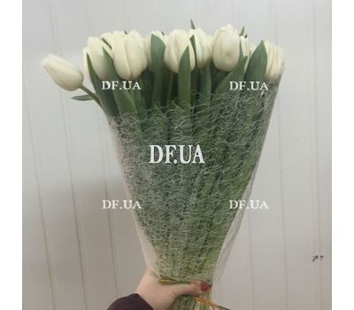 Белые тюльпаны купить - вид 1