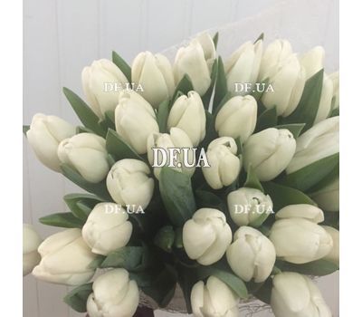 Белые тюльпаны купить - вид 2