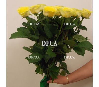 Bouquet of 11 yellow roses - view 3