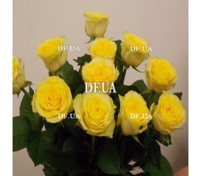 Bouquet of 11 yellow roses - view 4