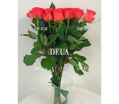 Bouquet 15 coral roses - view 1