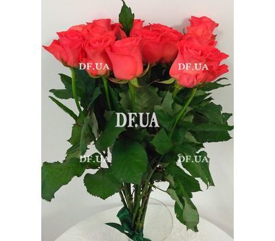 Bouquet 15 coral roses - view 3