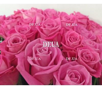 Bouquet 51 roses buy - view 4