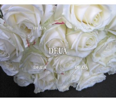 Bouquet of flowers of white roses - view 1
