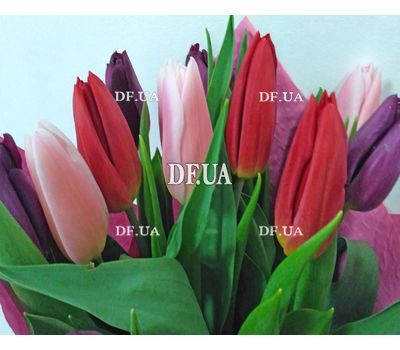 Bouquet of 15 tulips - view 3
