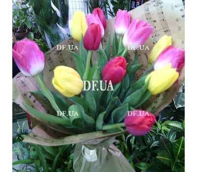 Bouquet of 15 tulips - view 4