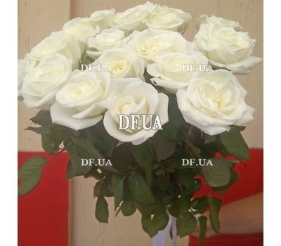 Bouquet of 17 roses - view 1