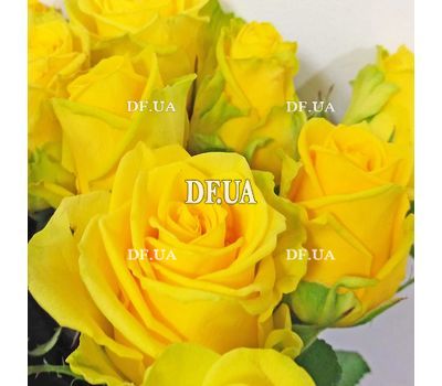 Bouquet of 19 yellow roses - view 1