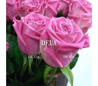 Bouquet of 25 pink roses - wiev 3