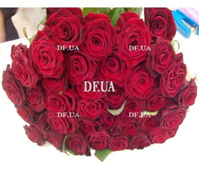 Bouquet of 27 red roses - wiev 4