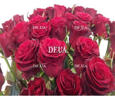 Bouquet of 27 red roses - wiev 5