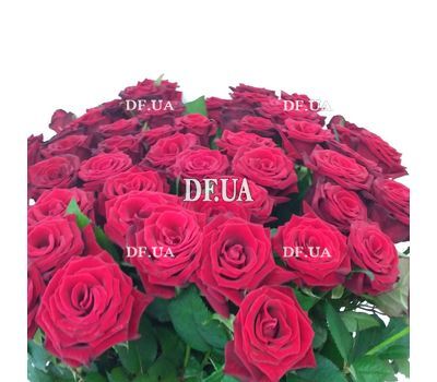 Bouquet of 45 red roses - view 3