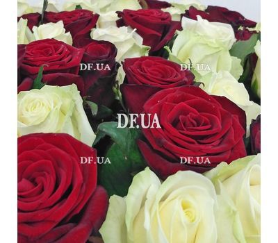 Bouquet of 45 roses - view 3