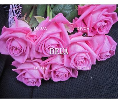 Bouquet of 7 roses view 1