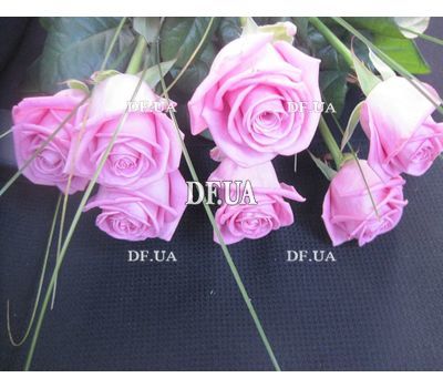 Bouquet of 7 roses view 2