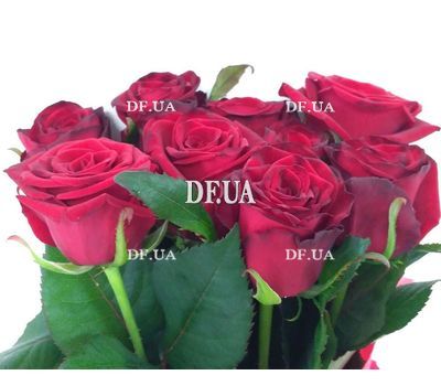 Bouquet of 9 burgundy roses - view 3