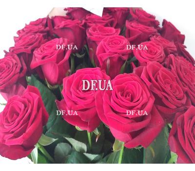 Bouquet of red roses - view 5