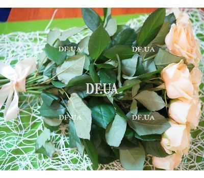 Bouquet of cream roses - view 1