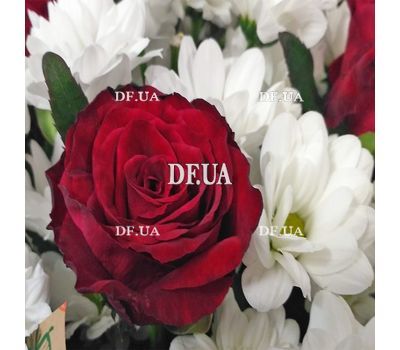Good morning flowers - view 6