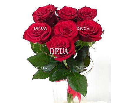 Simple bouquet of 7 roses view 3