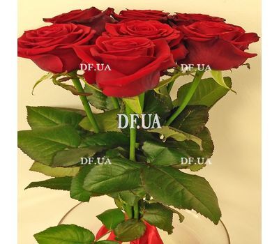 Simple bouquet of 7 roses view 5