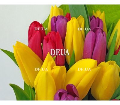Tulips in a bouquet - view 3