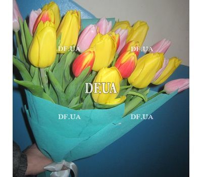 Spring flowers tulips - view 4