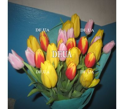 Spring flowers tulips - view 5