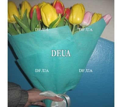 Spring flowers tulips - view 6