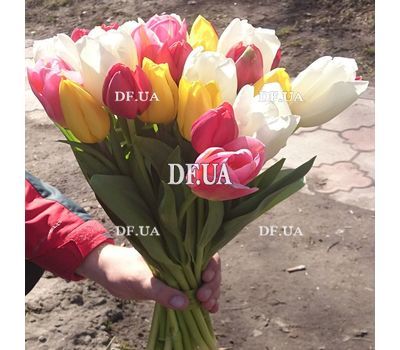 Spring flowers tulips - view 7