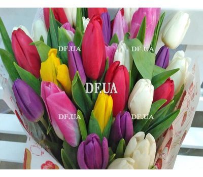 Bright tulips - view 2