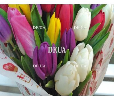 Bright tulips - view 3
