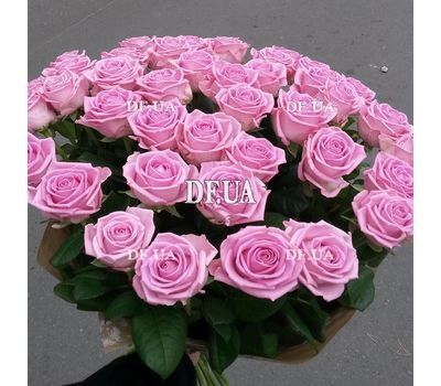 Brightly pink roses - view 2