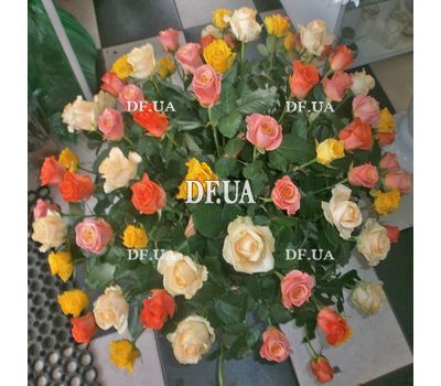 101 roses in the basket - view 6