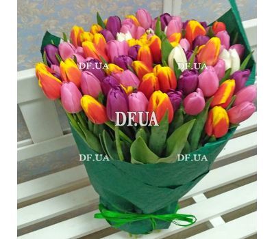 101 tulip - view 1