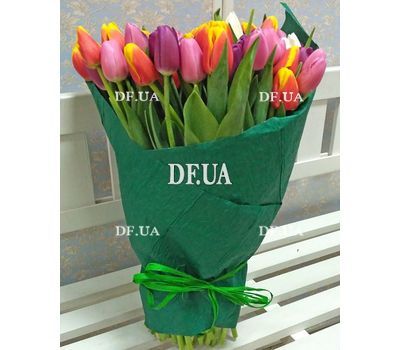 101 tulip - view 2