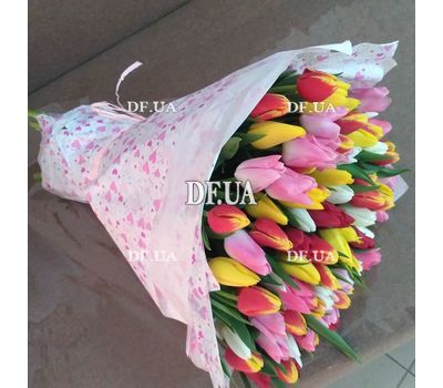 101 tulip - view 4