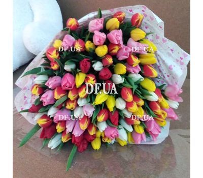 101 tulip - view 5