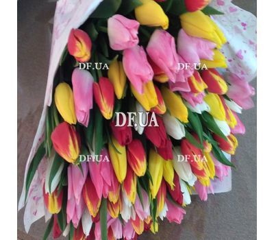 101 tulip - view 6