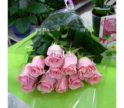 11 Dutch pink roses - view 2