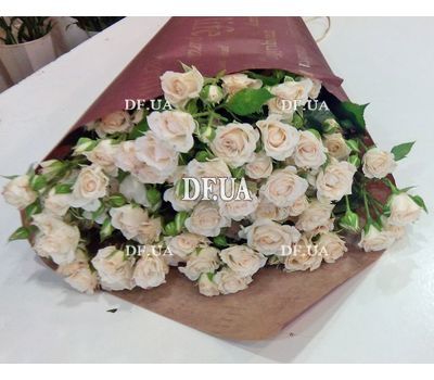 13 bush roses - view 2