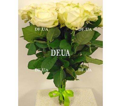 15 white roses - view 4