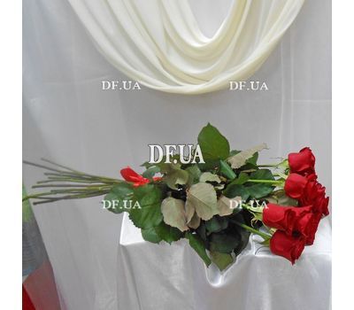 15 roses 1 meter - view 2