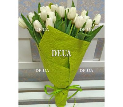 21 white tulip - view 1