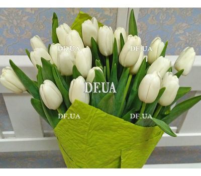 21 white tulip - view 2