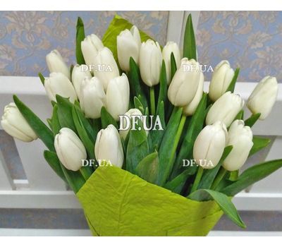 21 white tulip - view 3