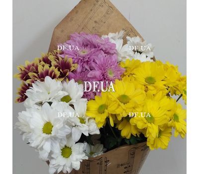 5 chrysanthemums bouquet - view 4