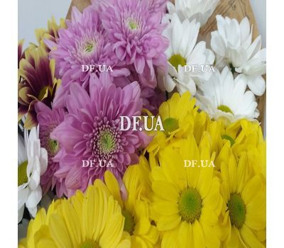 5 chrysanthemums bouquet - view 5